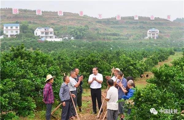http://gladmin.gao-ling.gov.cn/uploadfile/image/20171114/20171114151715346.jpg
